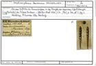 Karteikarte zum Abbildungsoriginal von Amphimorphina haueriana Neugeboren, 1850